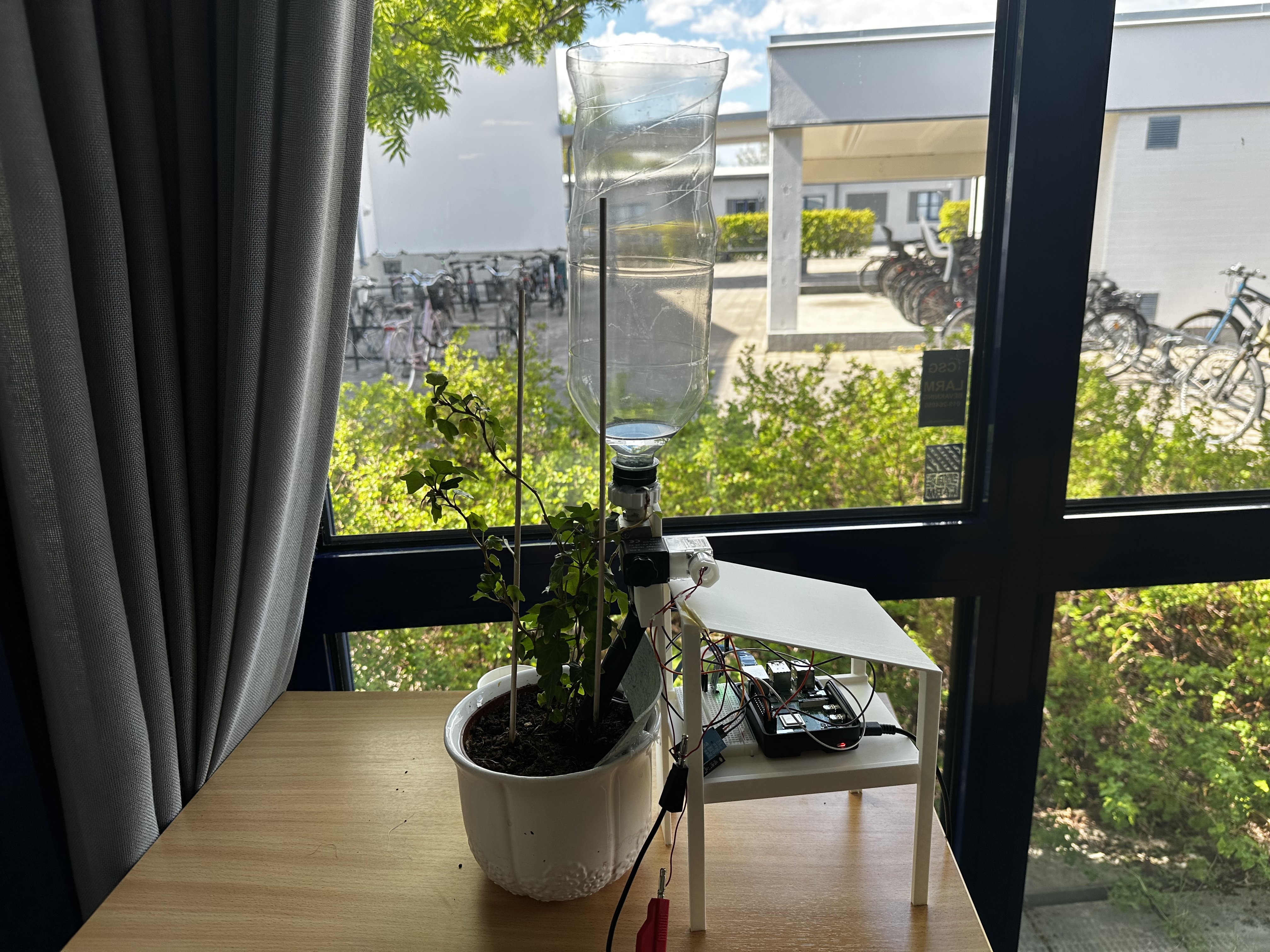 Plant Buddy Image