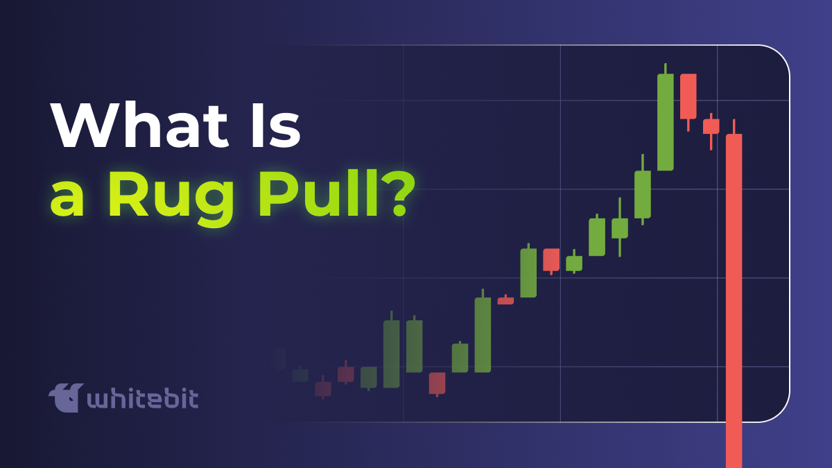 🧨 Rug Pulling 101: Inside the Dark Side of Crypto Projects